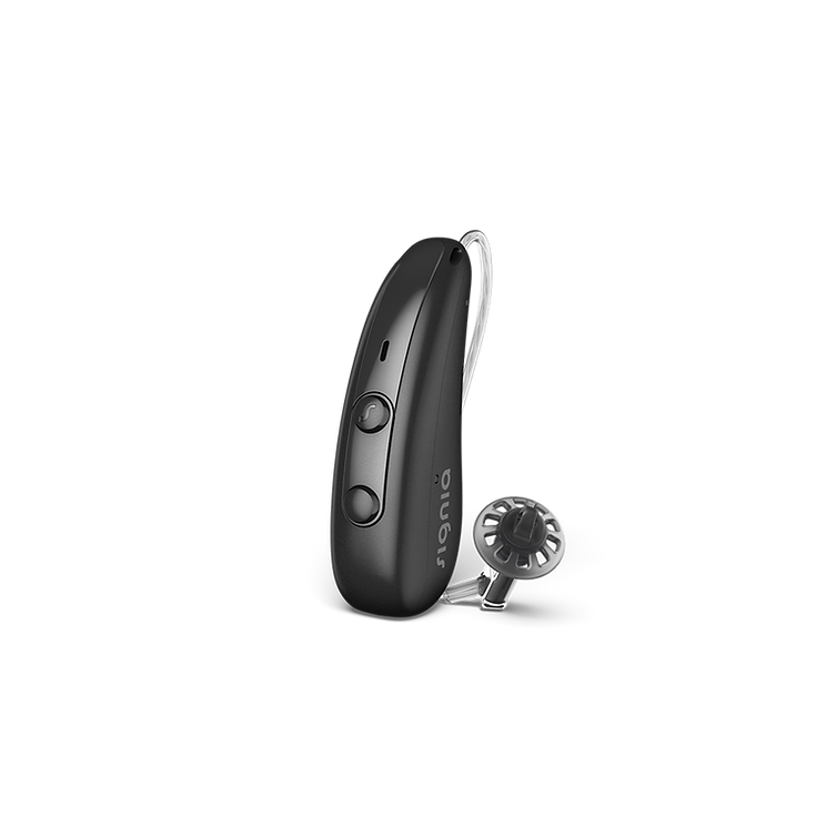 receiver in canal hearing aid
