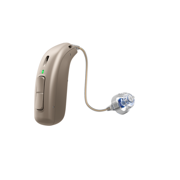 receiver in canal hearing aid