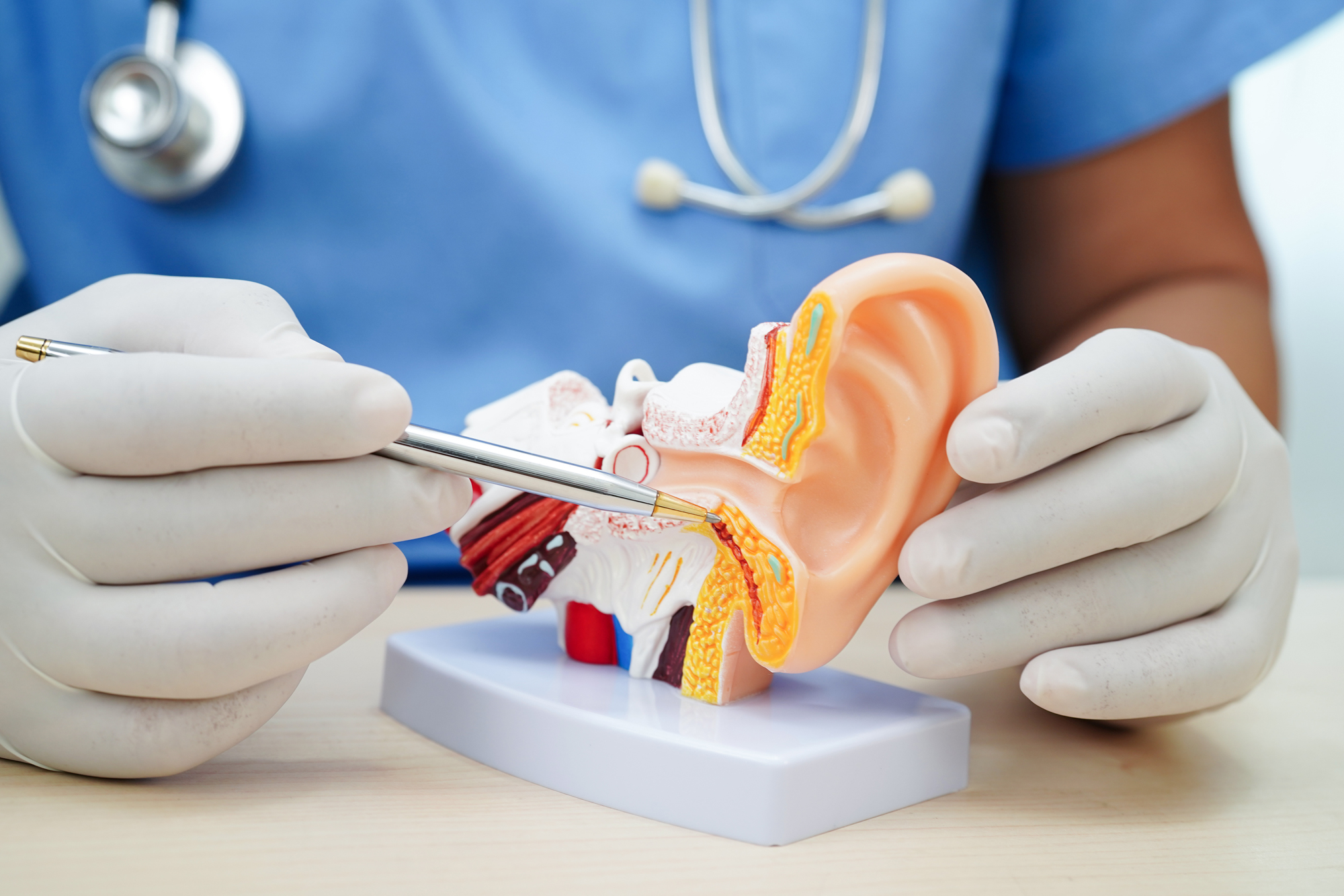 Hearing Consultation