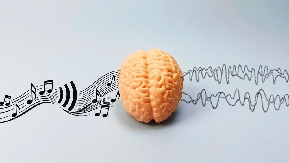 brain and hearing connection